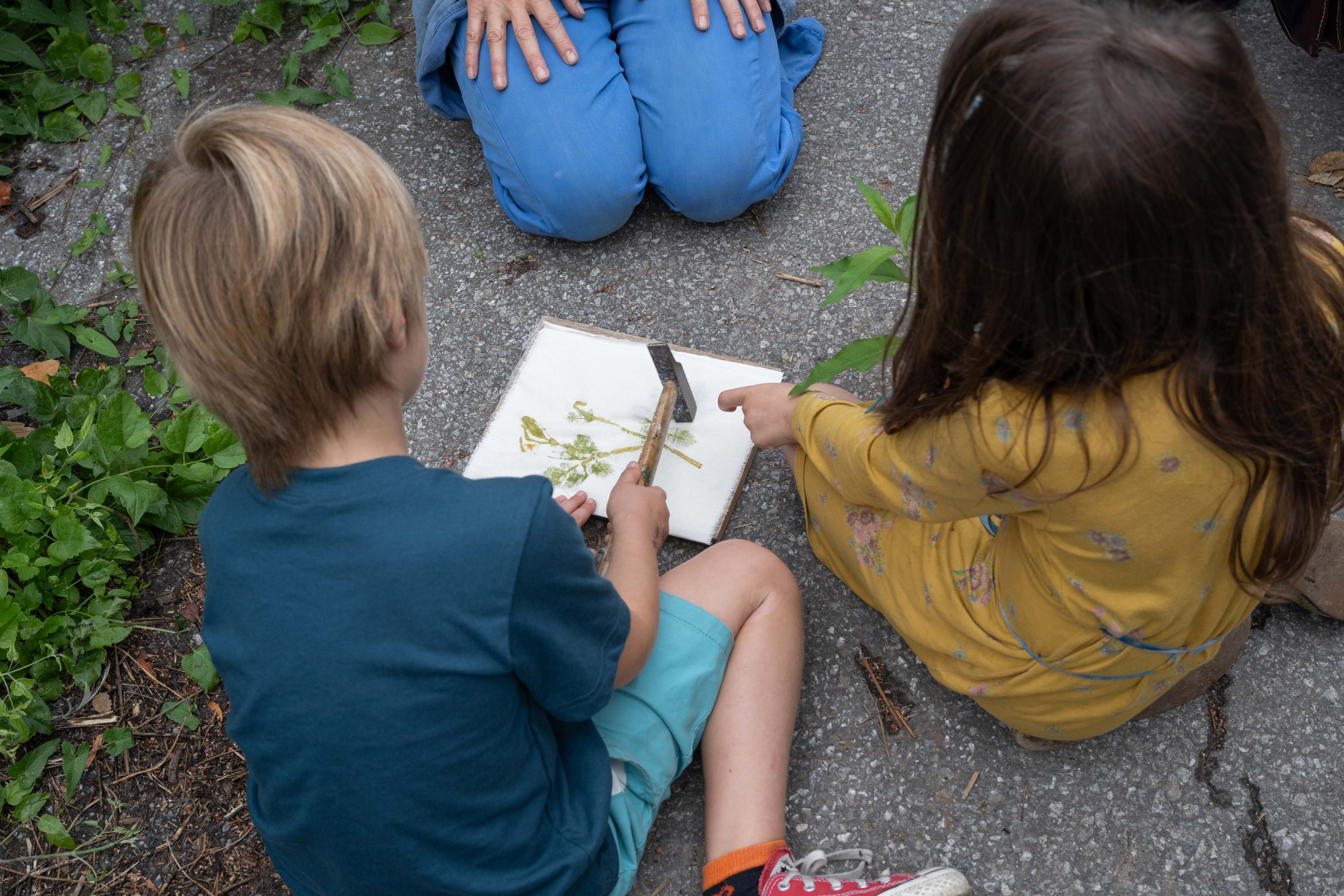 Impressions des plantes du Marais Wiels (image: Bea Borgers)